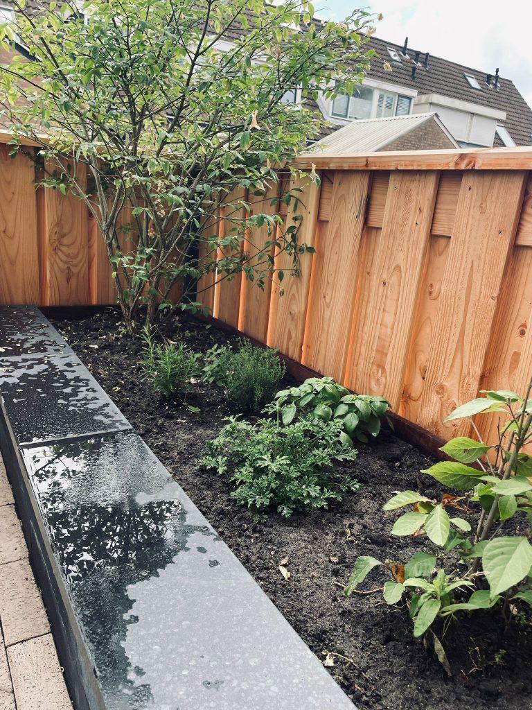 3341d1bd-ce4f-4622-8064-9df21ae4f42f-1_all_23206