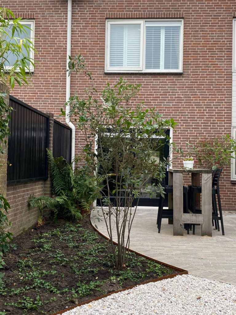 3341d1bd-ce4f-4622-8064-9df21ae4f42f-1_all_26249