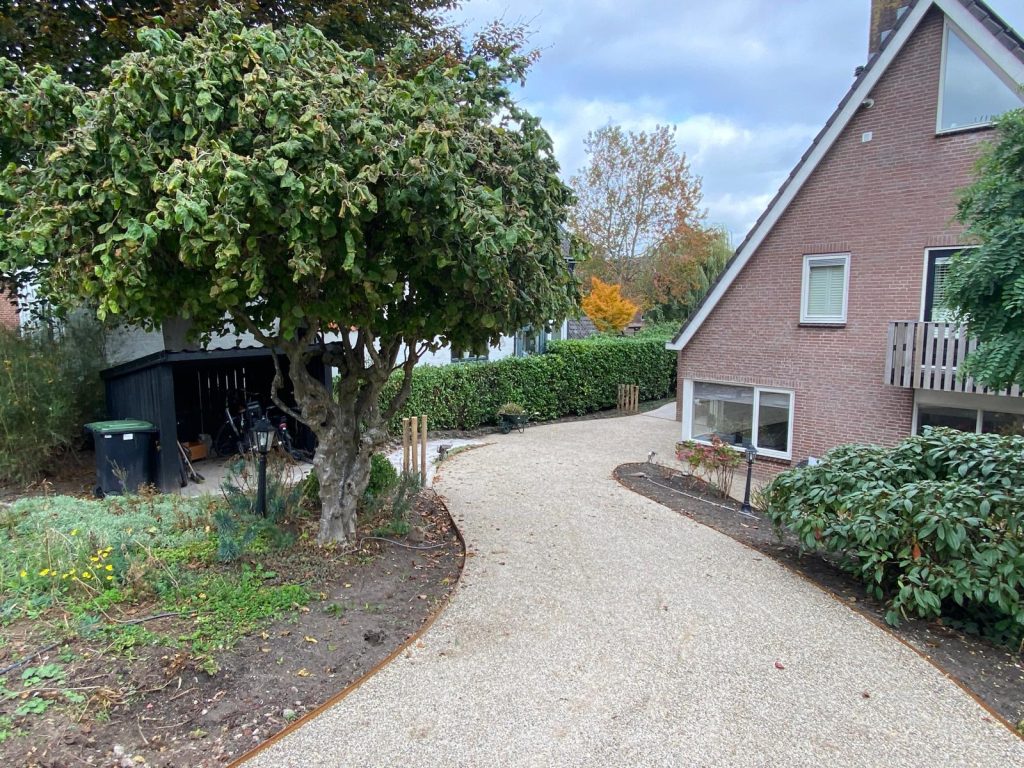 3341d1bd-ce4f-4622-8064-9df21ae4f42f-1_all_26252