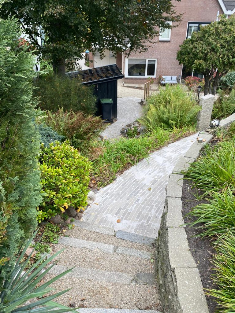 3341d1bd-ce4f-4622-8064-9df21ae4f42f-1_all_26253